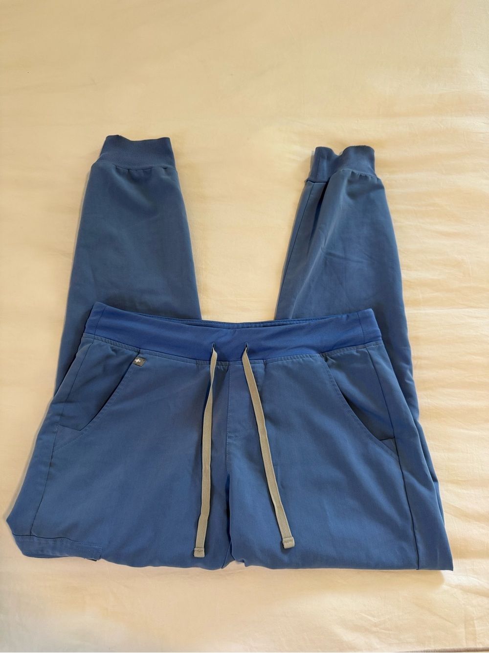 FIGS Zamora Joggers Ceil Blue- Small